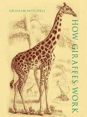 cover image of How Giraffes Work